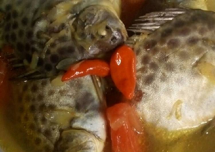 Cara membuat Ikan kiper pindang serani sedap